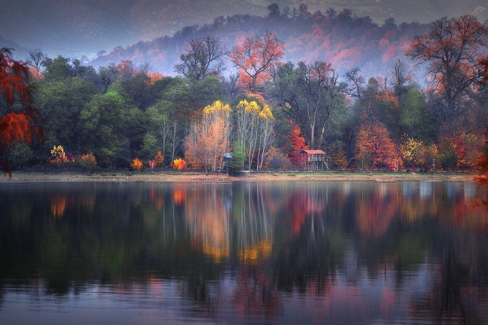 Фотография автора Shahram Hafezi