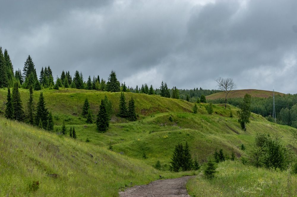 Фотография автора Рохмистрова Мария