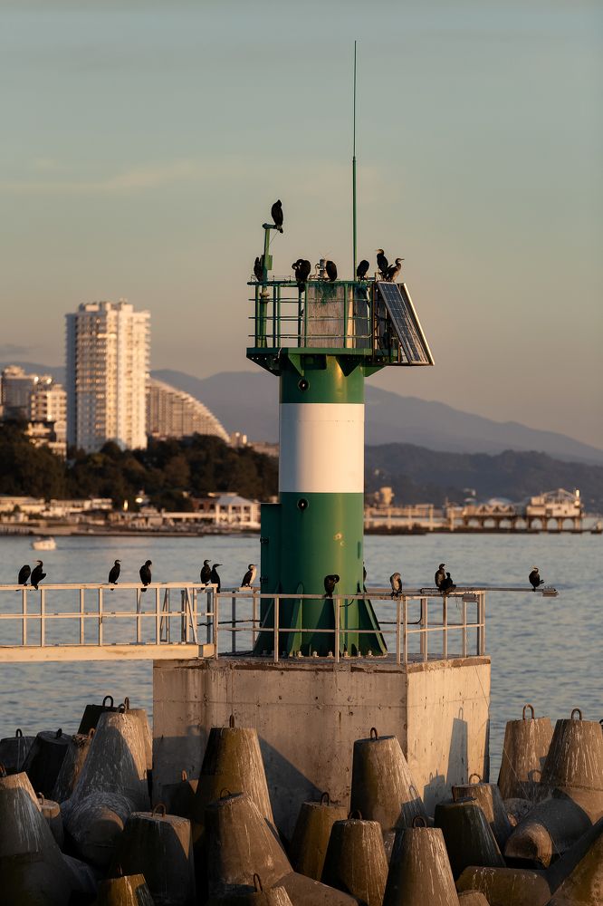 Photograph by Анастасия Петрова