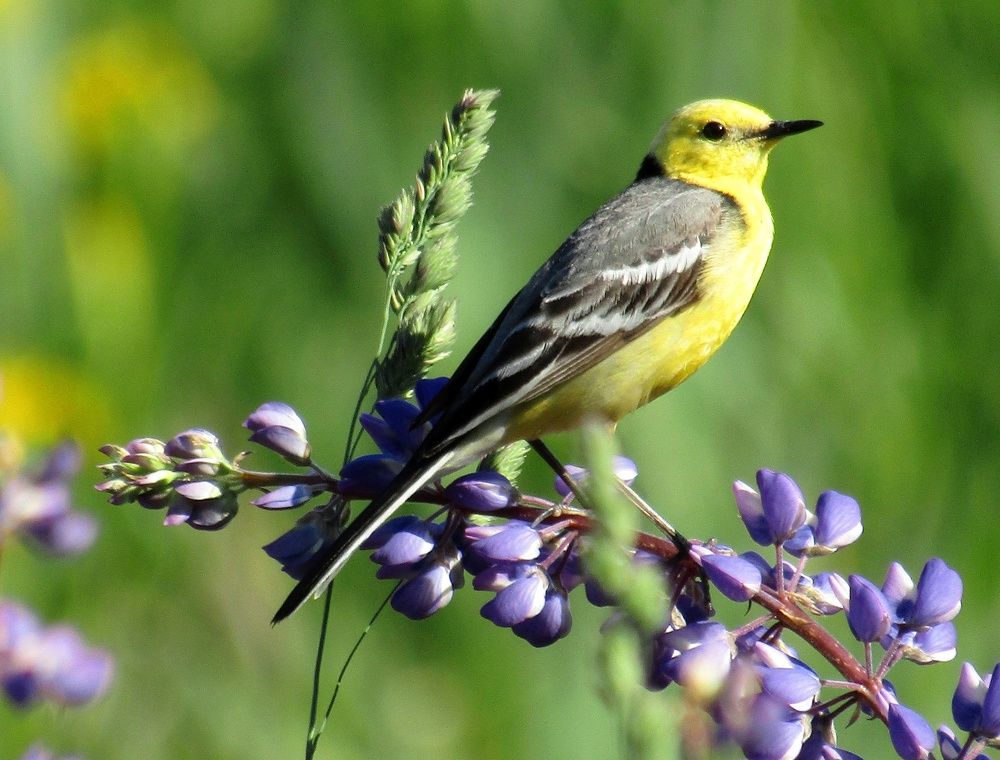 Photograph by Владимир Перминов