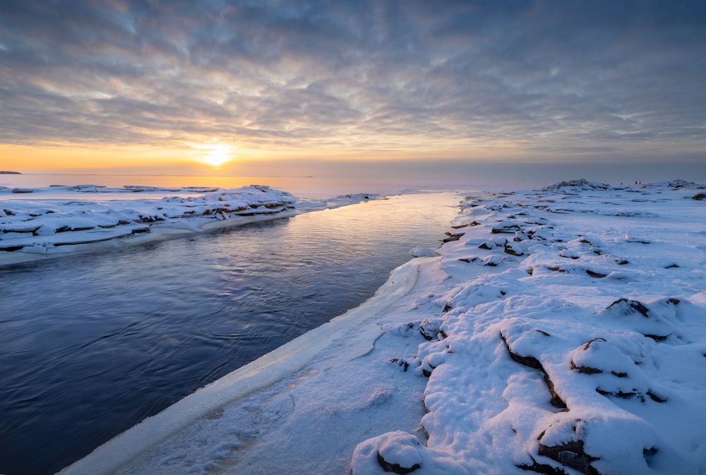 Photograph by Diana Karp