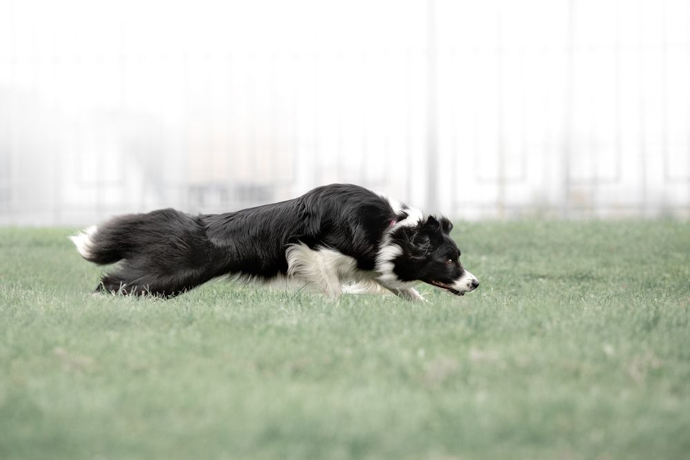 Фотография автора Ляйс Наталья