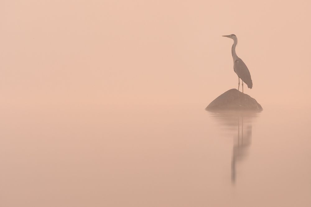 Photograph by Валерий Притченко