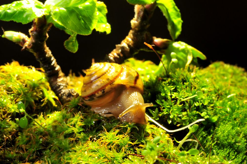 Photograph by Inessa Botasheva