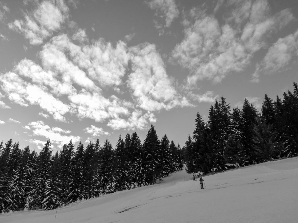 Photograph by Burdikova Inna