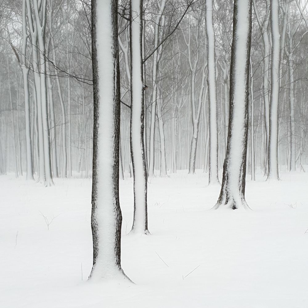 Photograph by Svetlana Zelyanina