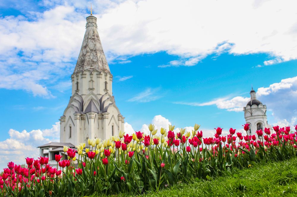 Photograph by Александр Ермаченко