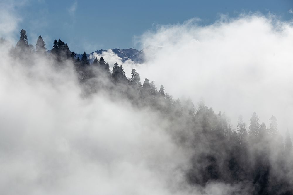 Photograph by Анастасия Петрова