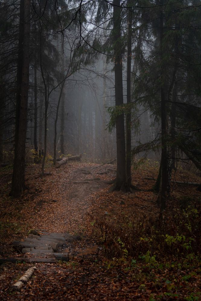 Photograph by Светлана Верзилина