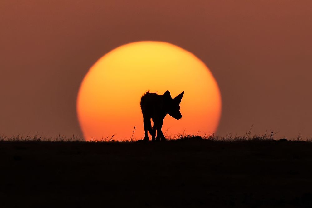 Sun will shine upon Us !