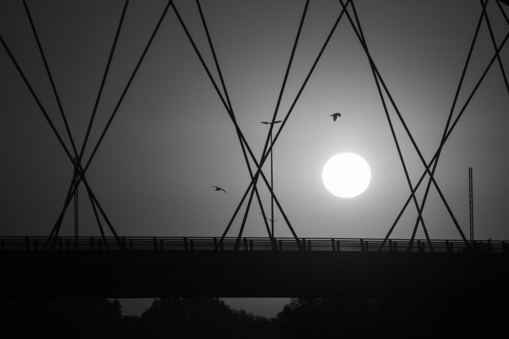 Photograph by Tanja Bažalac