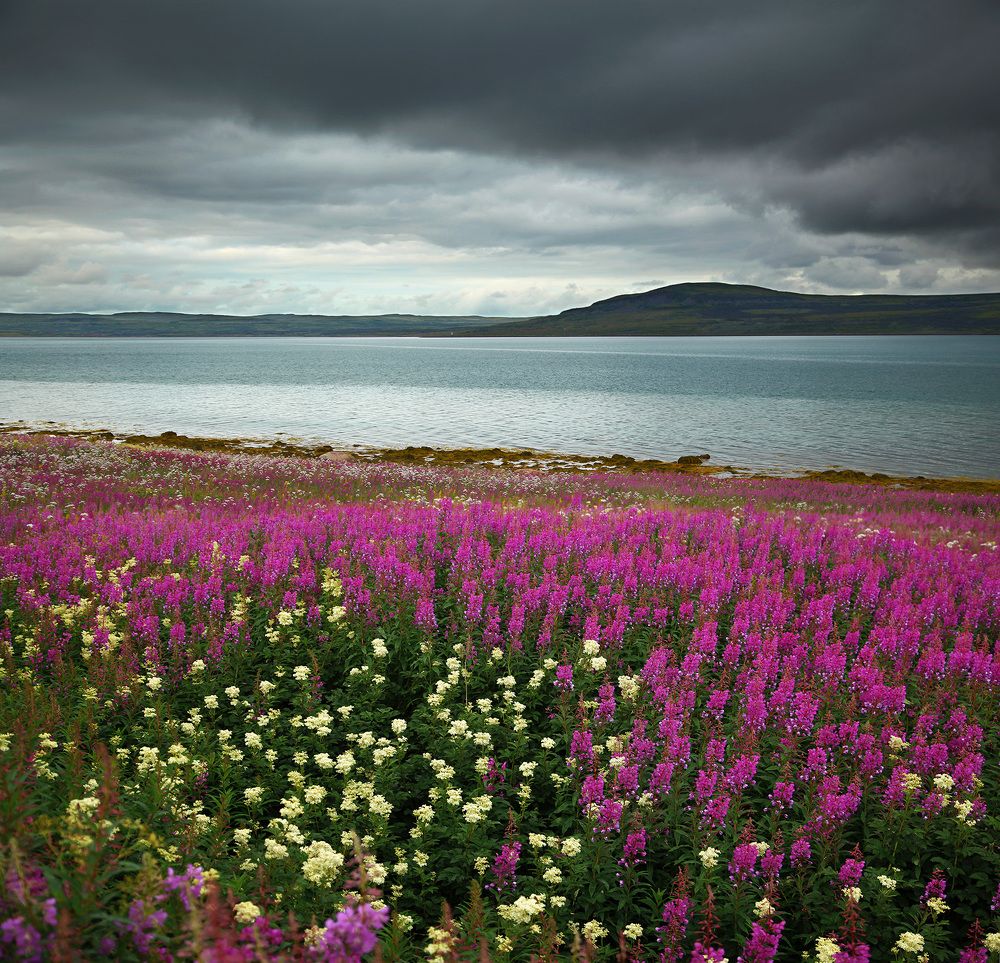 губа Мотка, Баренцево море