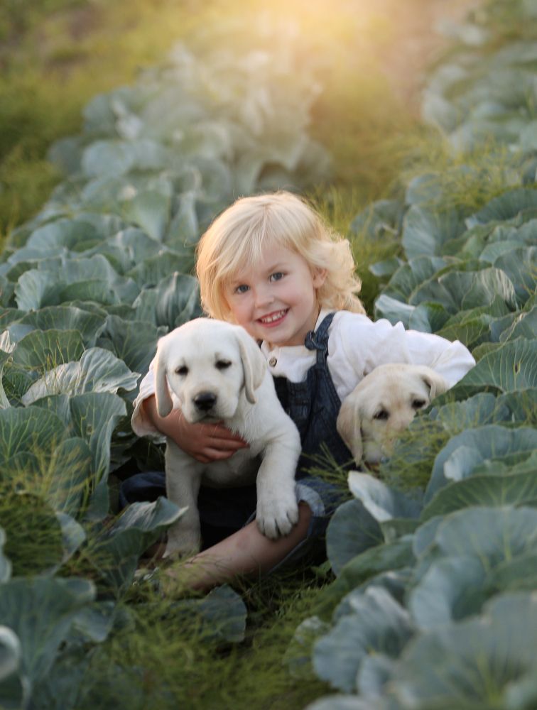 Фотография автора Katerina Mumzhinskaya