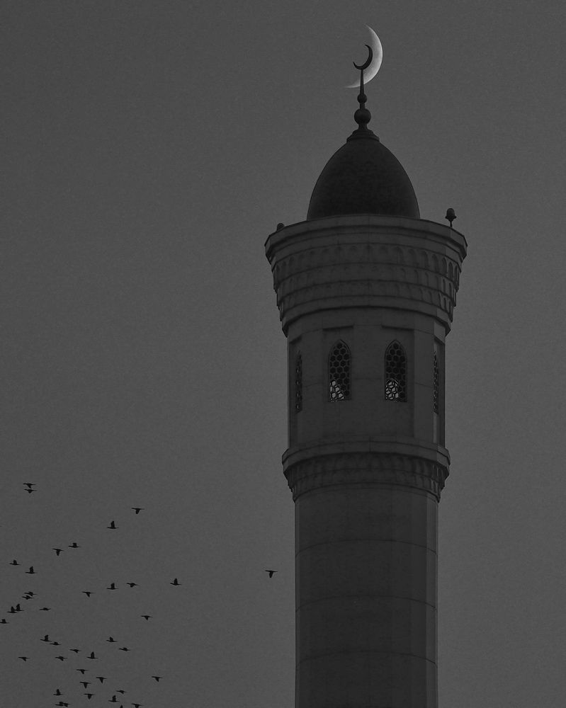 Photograph by Малика Маткарим