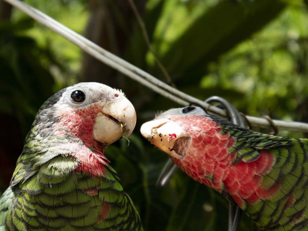 Photograph by Giselle Fernández