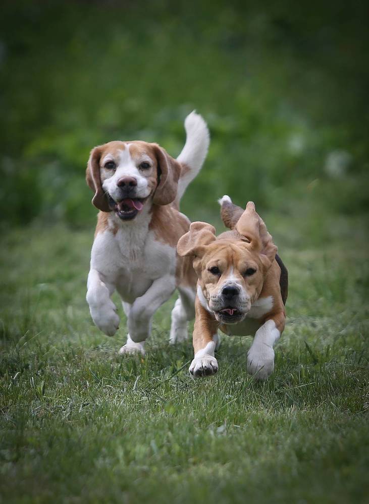 Фотография автора Katerina Mumzhinskaya