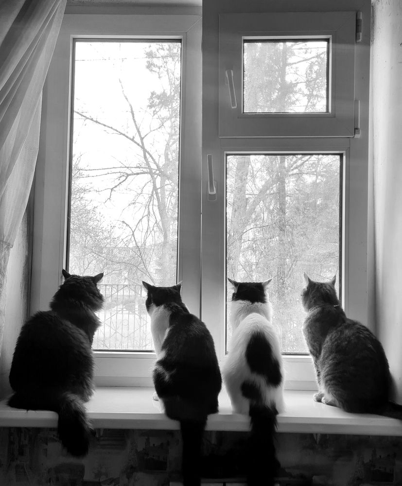 Photograph by Богатырева Ксения