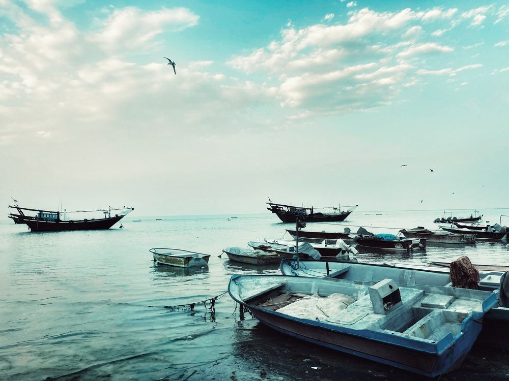 Photograph by Amin Yarban