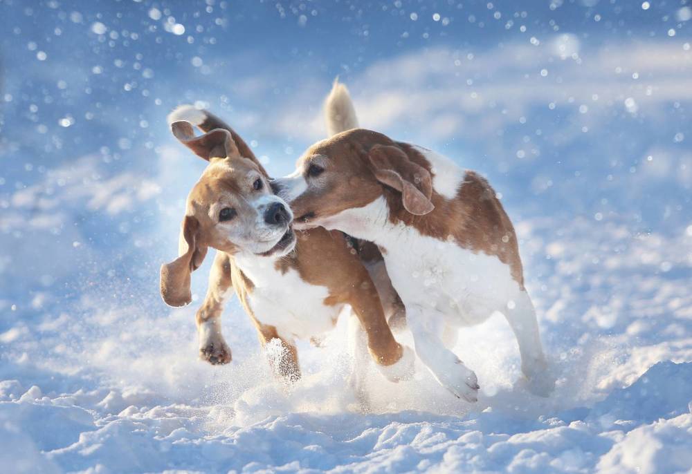 Фотография автора Katerina Mumzhinskaya