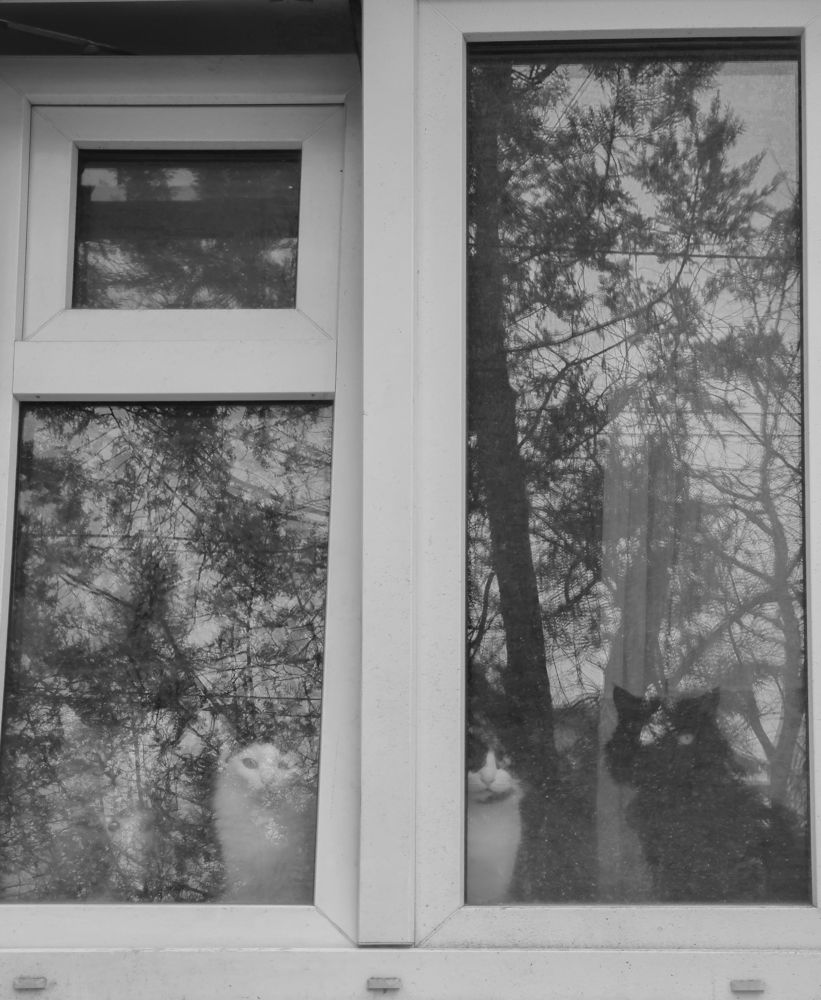 Photograph by Богатырева Ксения