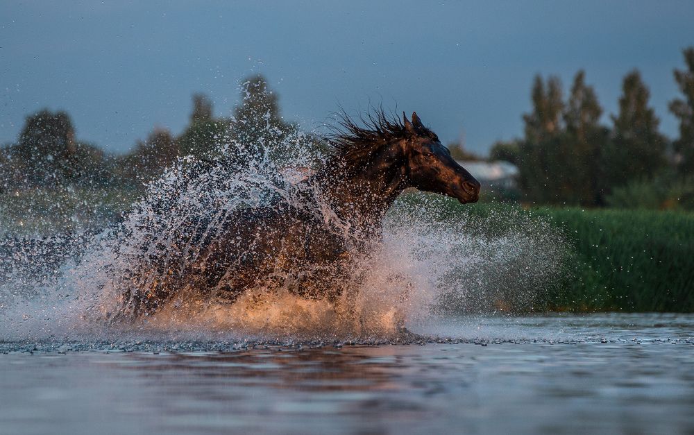 Photograph by Кристина Ксендзова