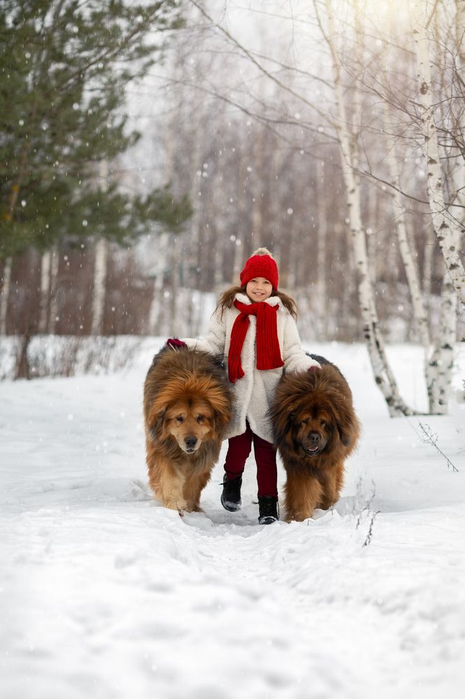 Photograph by Маргарита Черкасова