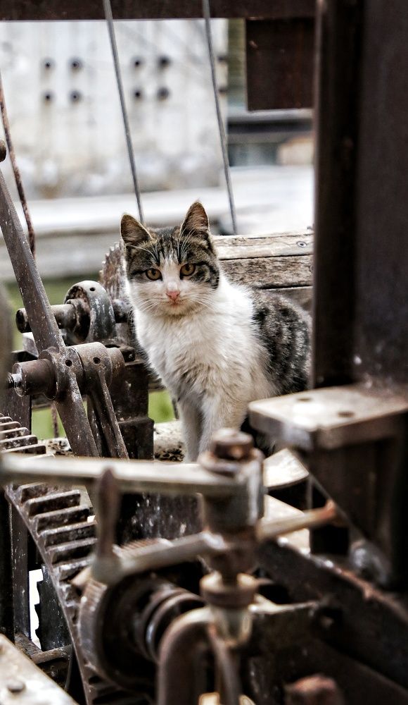 Photograph by Fatemeh Alipour