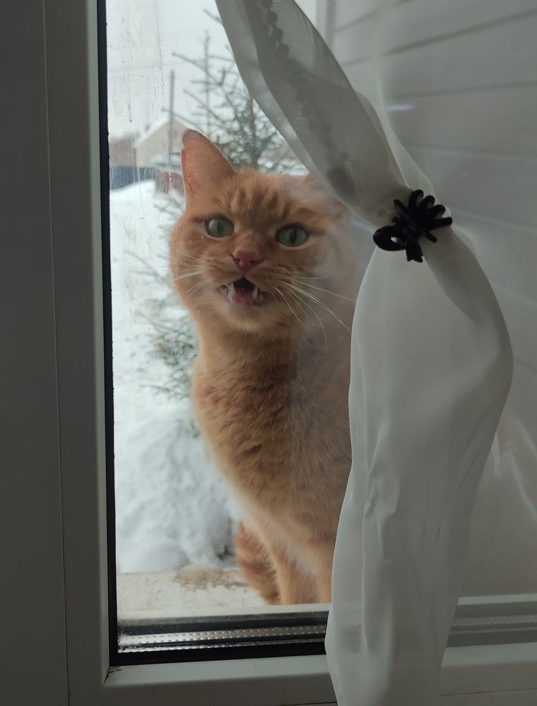 Photograph by Мария Петухова