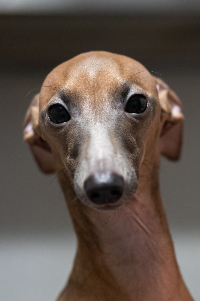 Фотография автора Игорь Ахремчик