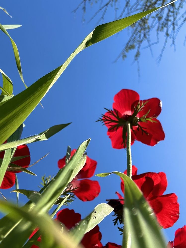 Photograph by Olga Filonenko