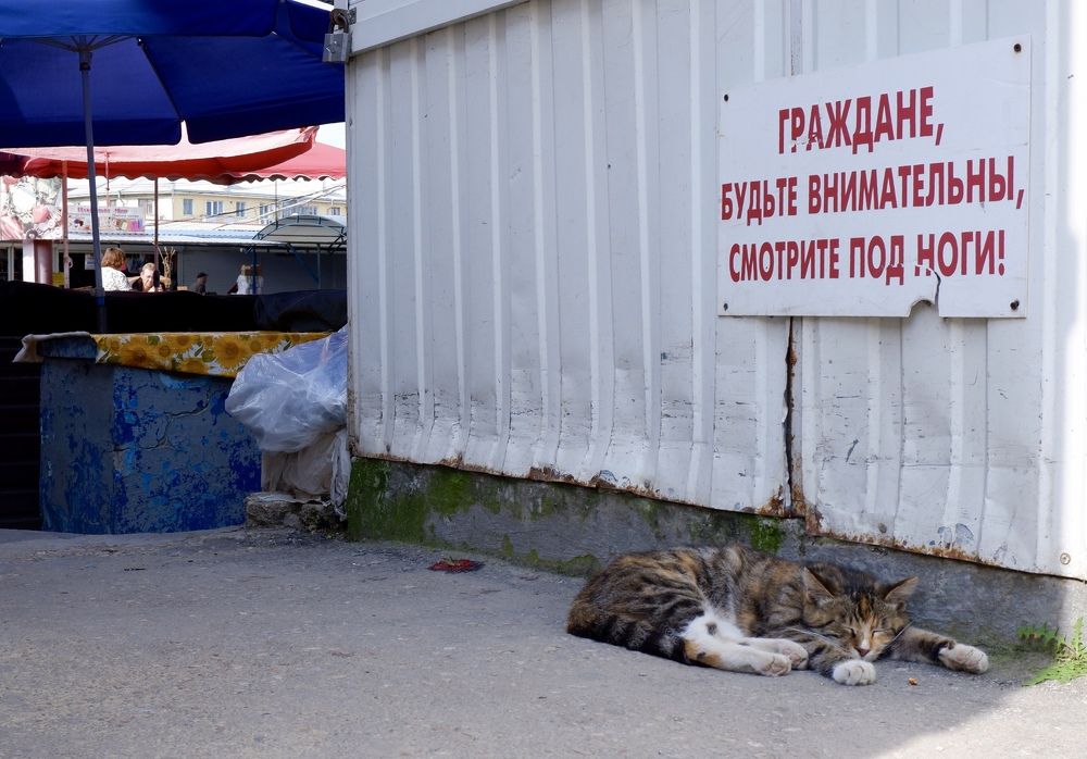 Photograph by Михаил Алещенков