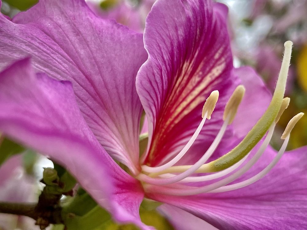 Photograph by Olga Filonenko