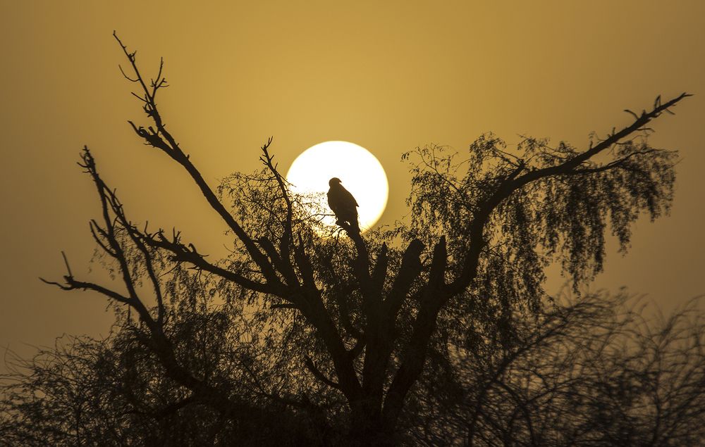 Photograph by mohammadjavad rostamiahmadvandi