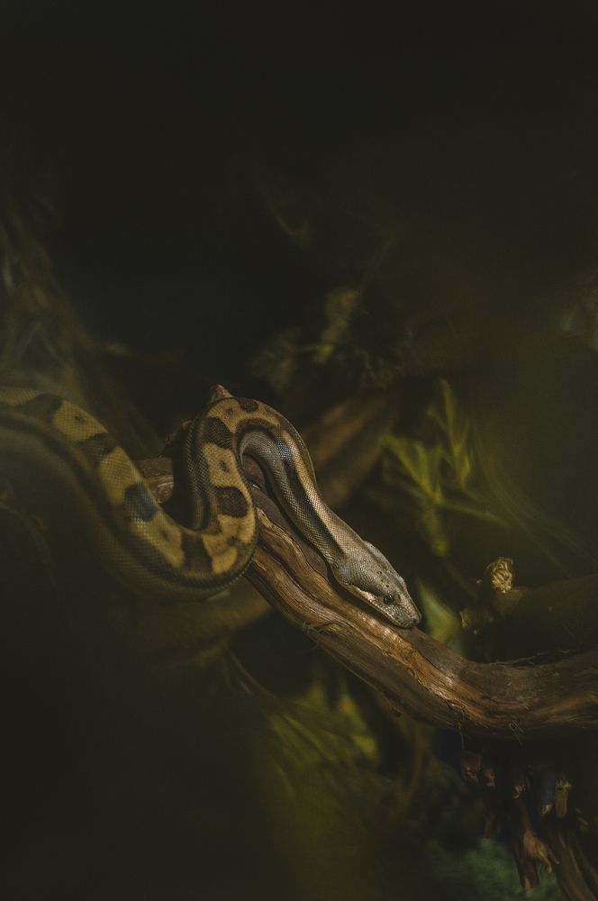 Photograph by Ксения Хачатурова