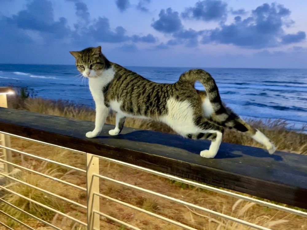 Photograph by Olga Filonenko