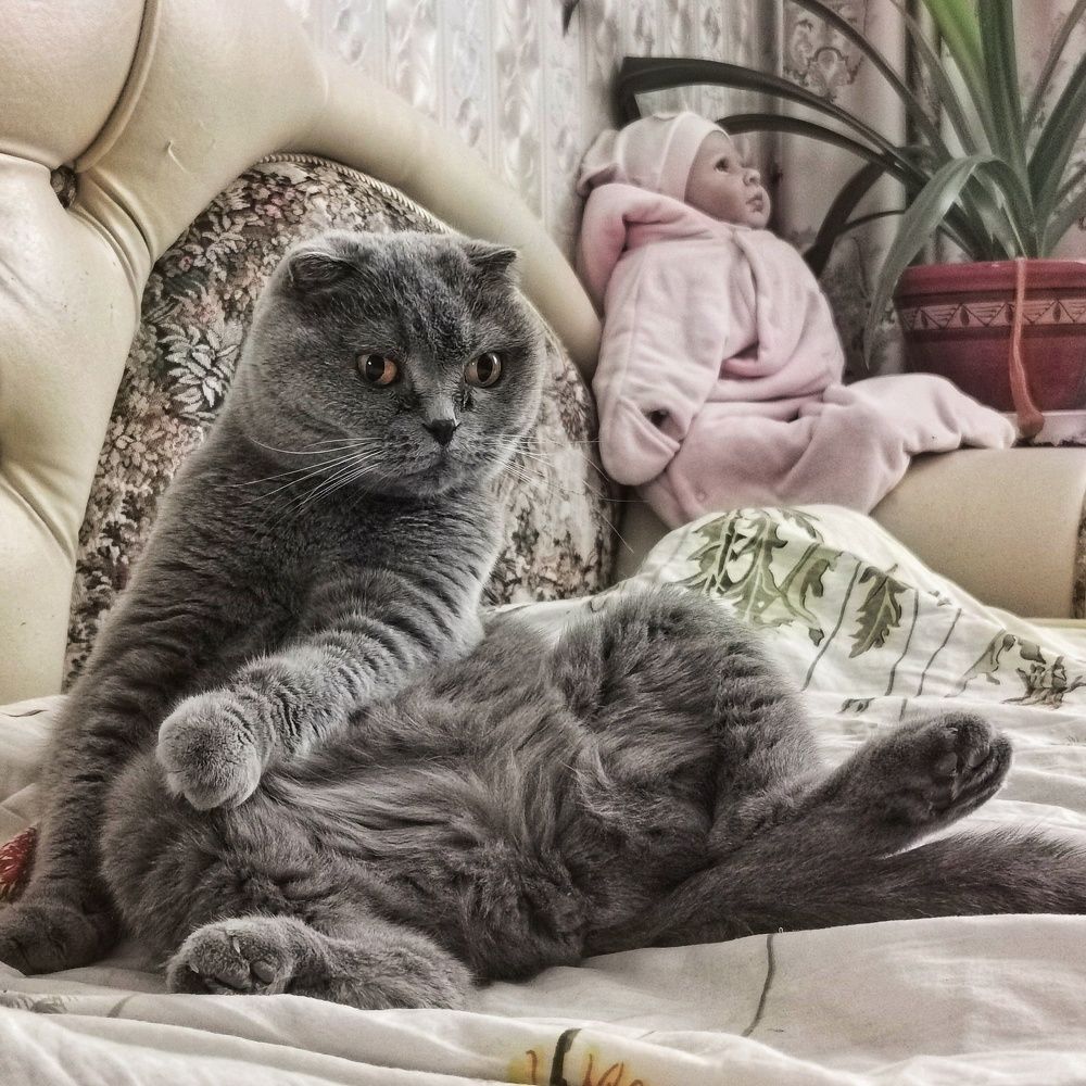 Photograph by Александр Козленков