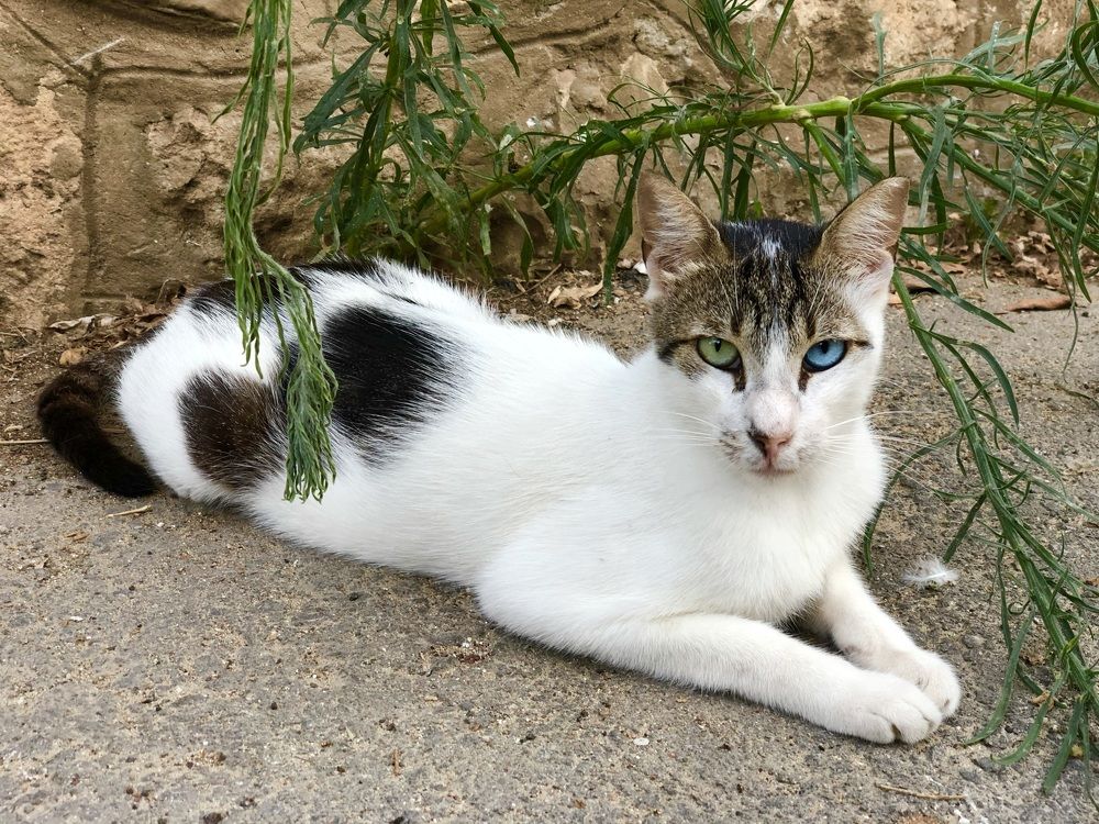 Photograph by Olga Filonenko