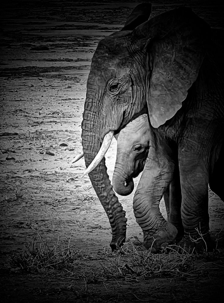 Photograph by Marisol Carrera Miguez