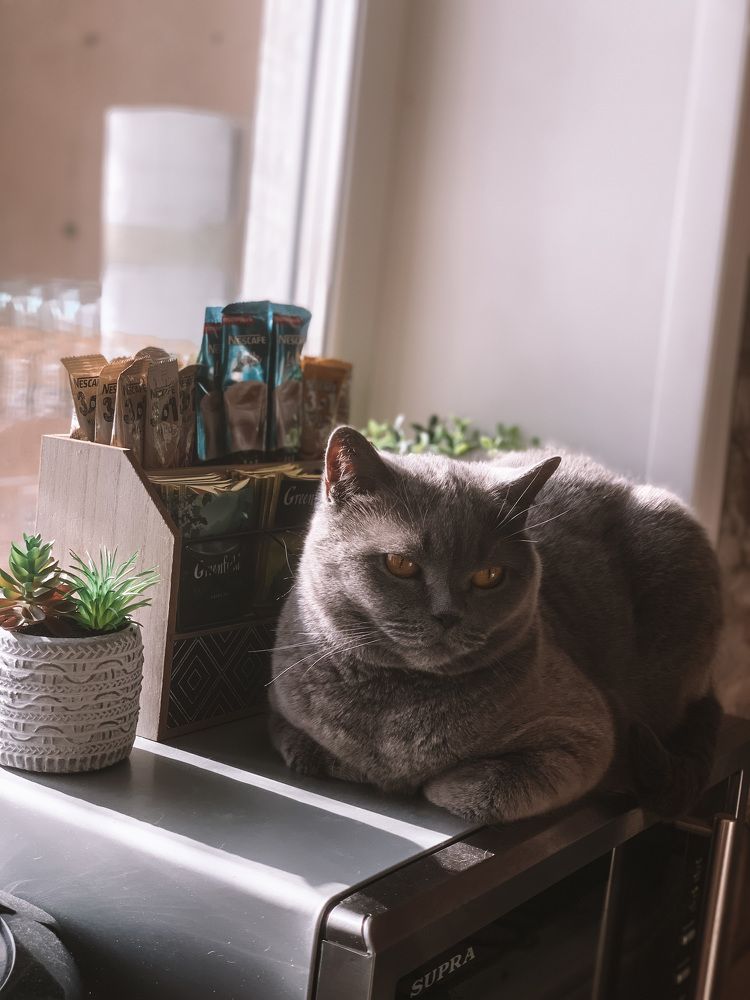 Photograph by Анна Щебнева