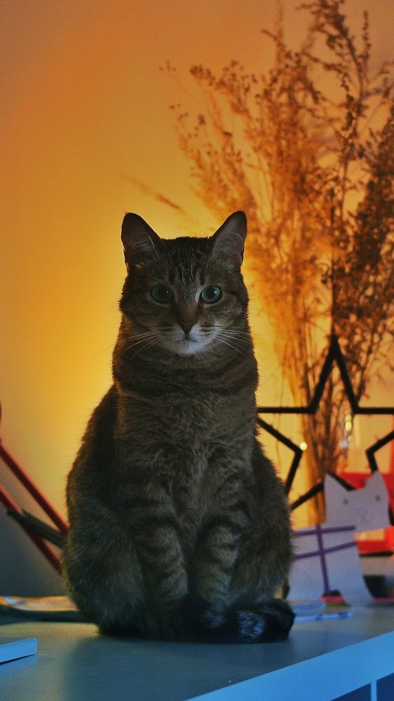 Photograph by Алёна Соболева