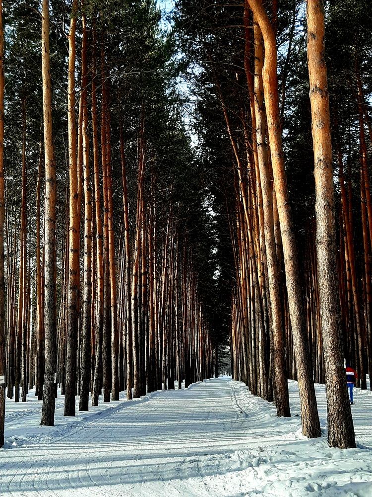 Фотография автора Наталья Шендяпина