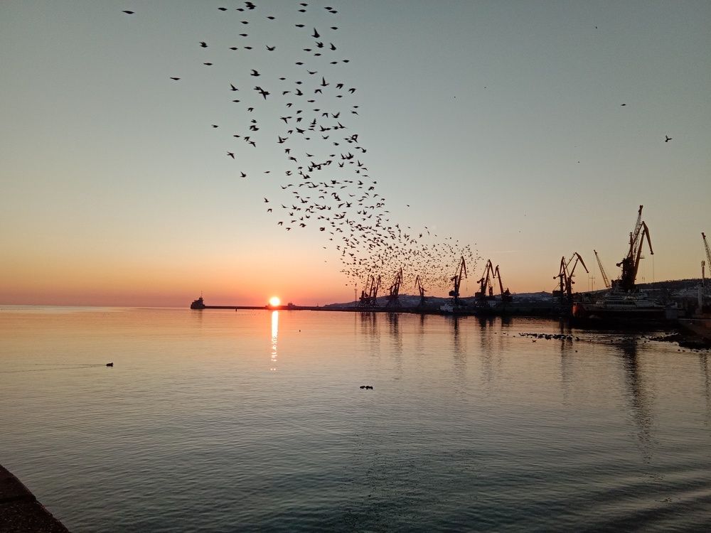 Рассвет2023г.