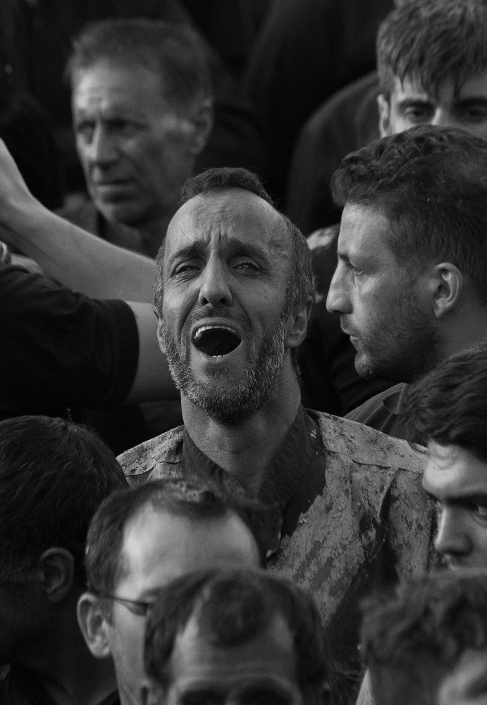 Photograph by mohammadjavad rostamiahmadvandi