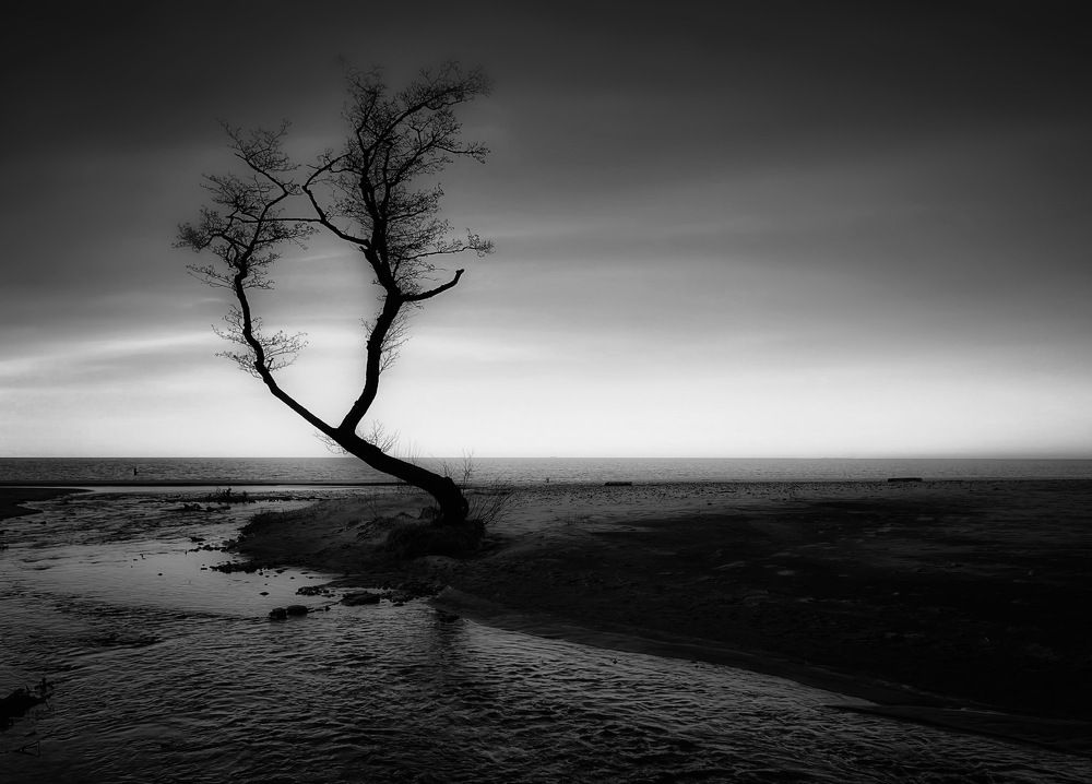 Photograph by Ирина Саакова