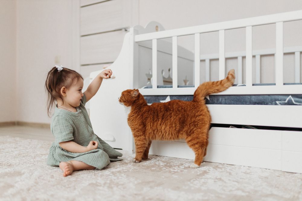 Photograph by Мария Мартынова