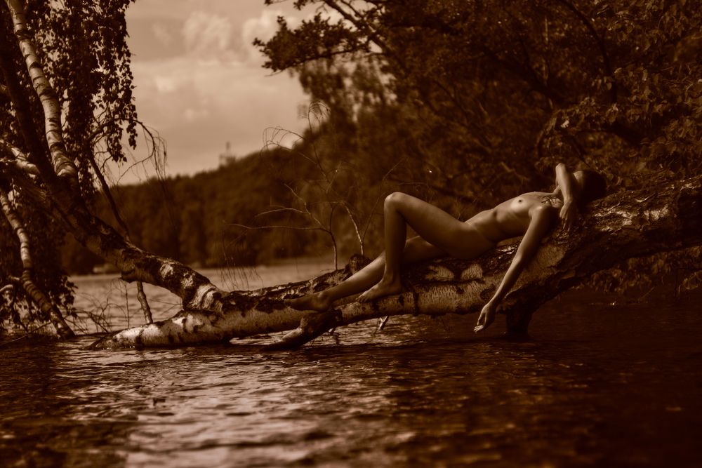 Photograph by Gustav