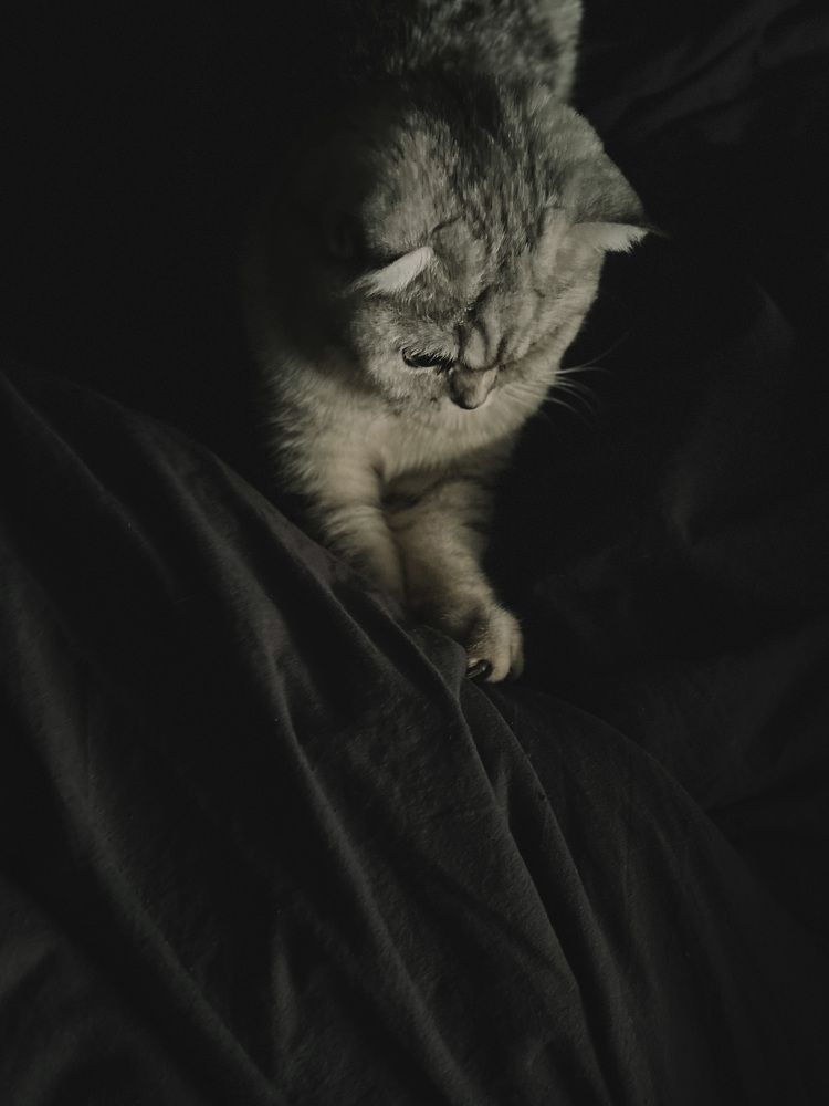 Photograph by Алиса Нежинская