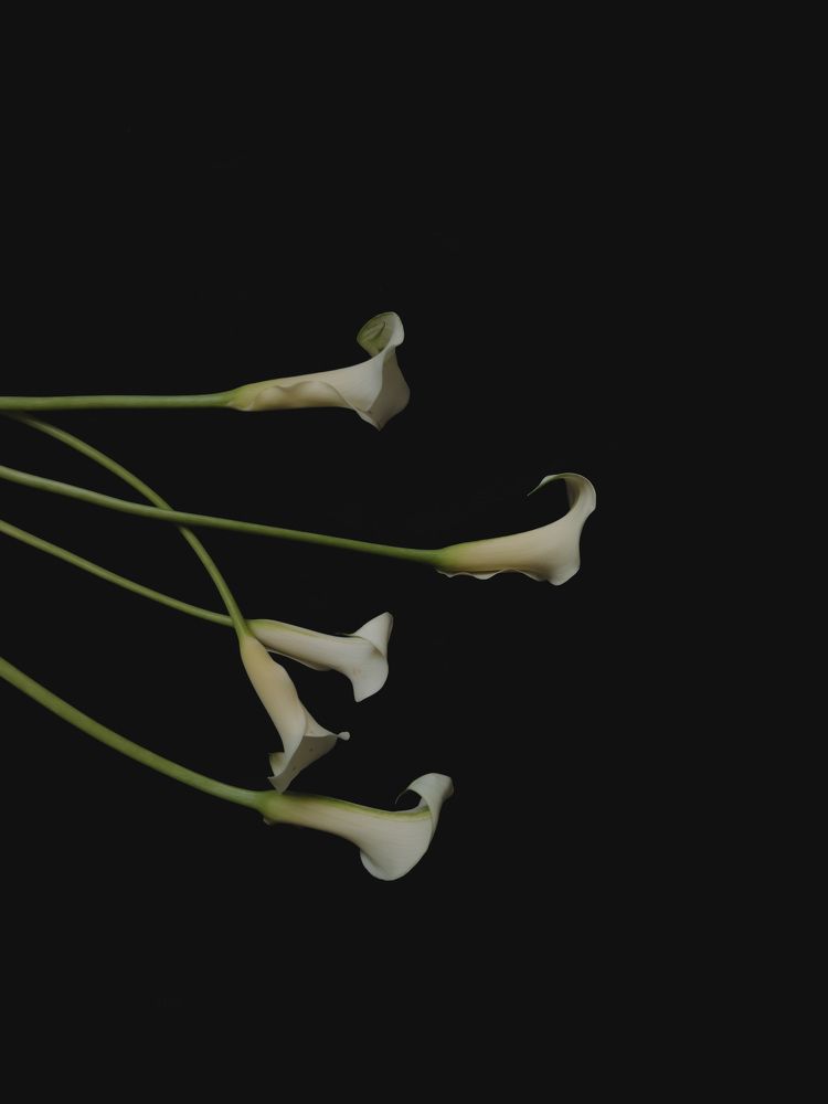 Photograph by Алиса Нежинская