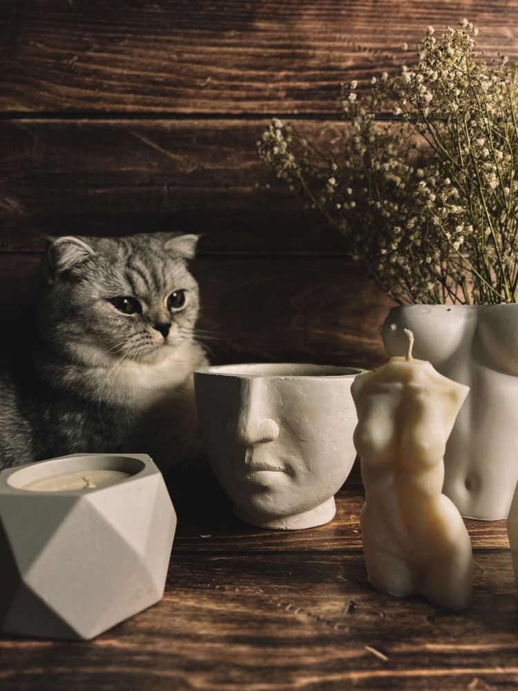 Photograph by Алиса Нежинская