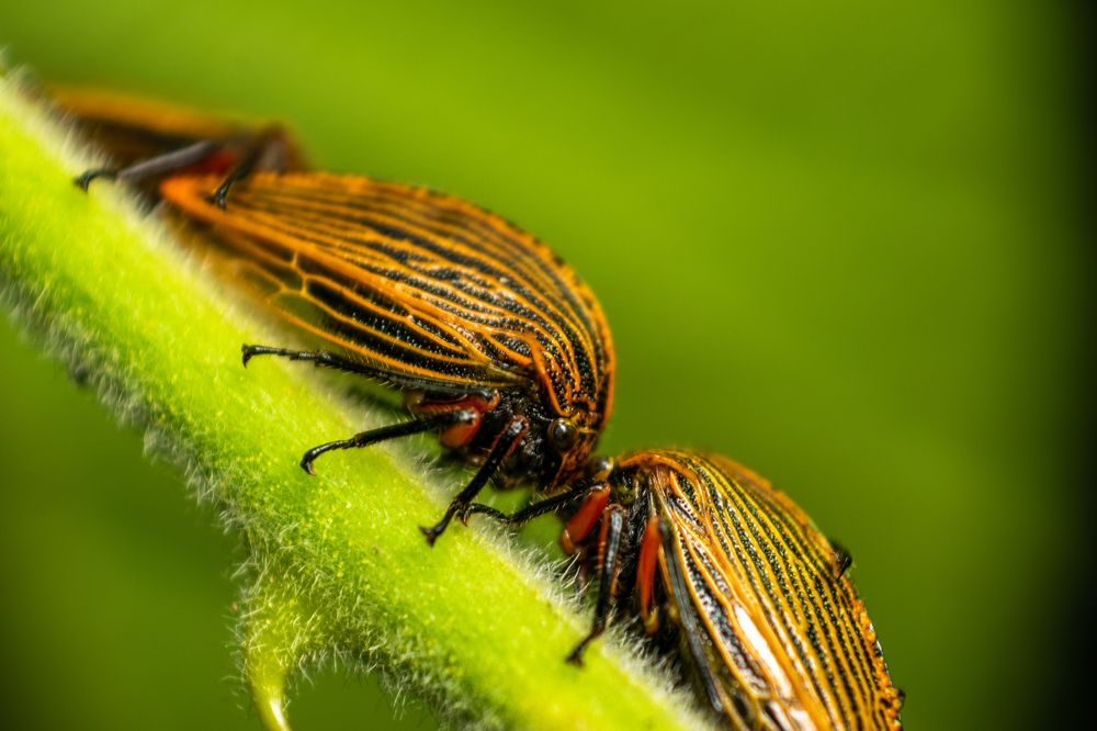 Фотография автора Jose Marcos Carvajal Tarazona